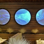 Tvarovaná projekční fólie pro přední projekci v interieru restaurace